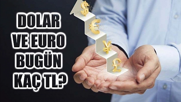 Dolar ve Euro bugün kaç TL?