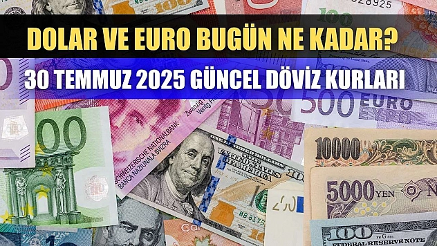 Dolar ve Euro bugün ne kadar? 30 Temmuz 2025 güncel döviz kurları