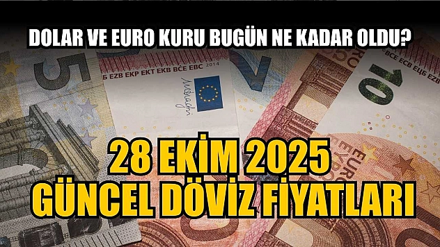 Dolar ve Euro kuru bugün ne kadar oldu?  28 Ekim 2025 güncel döviz fiyatları