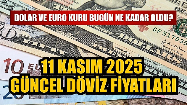 Dolar ve Euro kuru bugün ne kadar oldu?  11 Kasım 2025 güncel döviz fiyatları