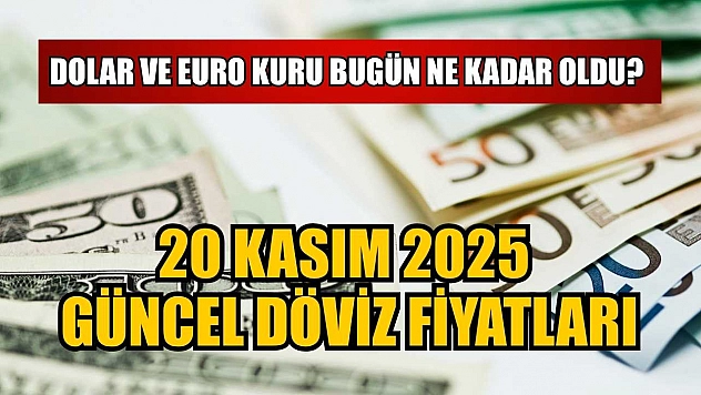 Dolar ve Euro kuru bugün ne kadar oldu?  20 Kasım 2025 güncel döviz fiyatları
