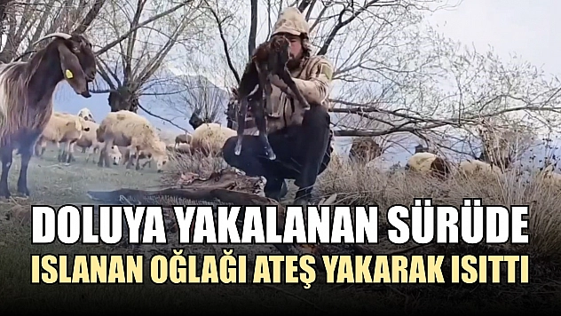 Doluya yakalanan sürüde ıslanan oğlağı ateş yakarak ısıttı
