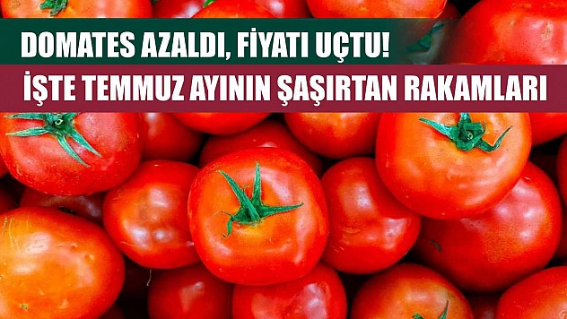 Domates Azaldı, Fiyatı Uçtu! İşte Temmuz Ayının Şaşırtan Rakamları