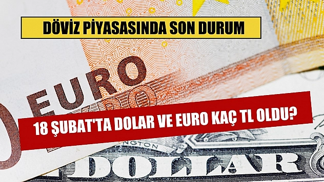 Döviz piyasasında son durum: 18 Şubat'ta Dolar ve Euro kaç TL oldu?