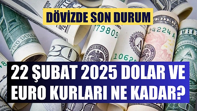 Dövizde son durum: 22 Şubat 2025 Dolar ve Euro kurları ne kadar?
