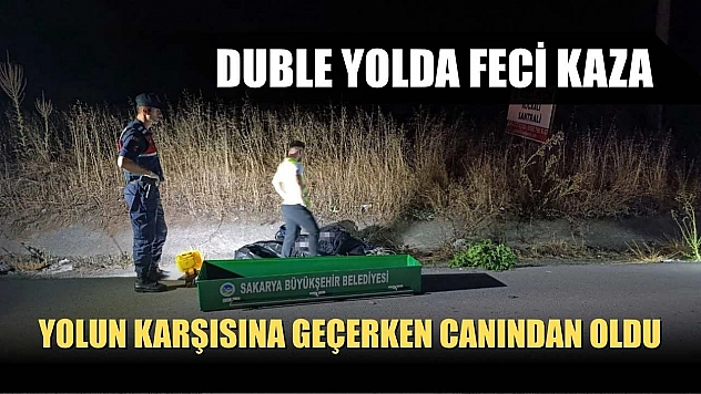 Duble yolda feci kaza: Yolun karşısına geçerken canından oldu