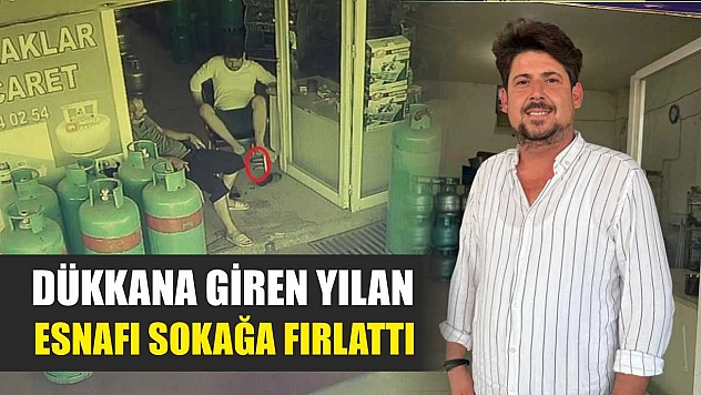 Dükkana giren yılan, esnafı sokağa fırlattı