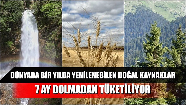 Dünyada bir yılda yenilenebilen doğal kaynaklar 7 ay dolmadan tüketiliyor