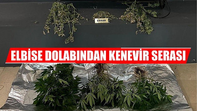 Elbise dolabından kenevir serası