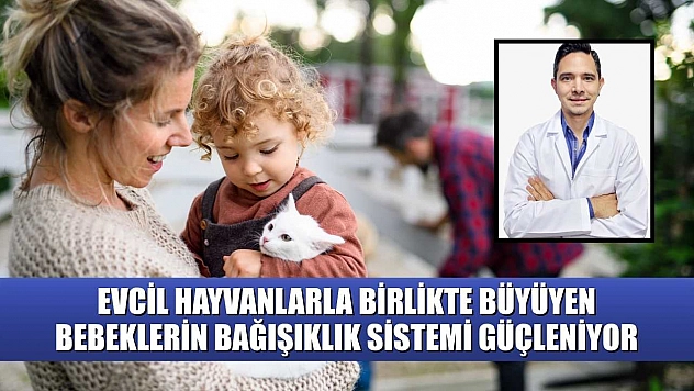 Evcil hayvanlarla birlikte büyüyen bebeklerin bağışıklık sistemi güçleniyor