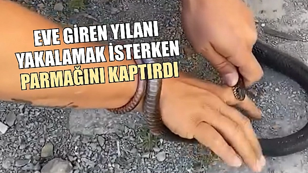 Eve giren yılanı yakalamak isterken parmağını kaptırdı