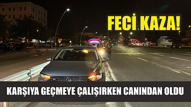 Feci kaza! Karşıya geçmeye çalışırken canından oldu