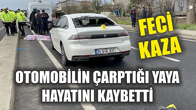 Feci kaza: Otomobilin çarptığı yaya hayatını kaybetti