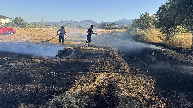 Fethiye Babataşı Mahallesi'nde Anız Yangını Korkuttu