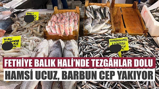 Fethiye Balık Hali'nde tezgâhlar dolu: Hamsi ucuz, Barbun cep yakıyor
