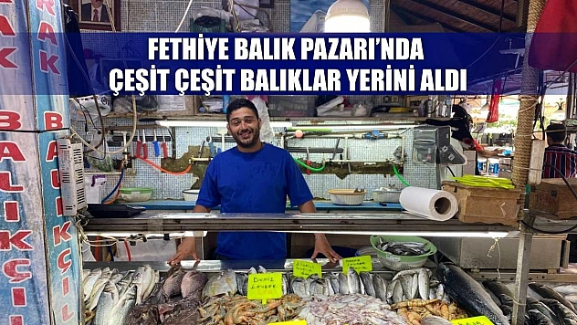 Fethiye Balık Pazarı'nda çeşit çeşit balıklar yerini aldı