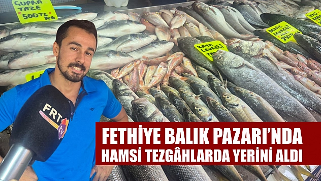 Fethiye Balık Pazarı'nda Hamsi Tezgâhlarda Yerini Aldı