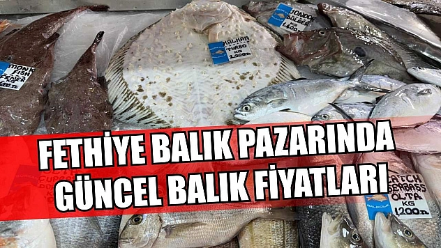 Fethiye Balık Pazarında Güncel Balık Fiyatları