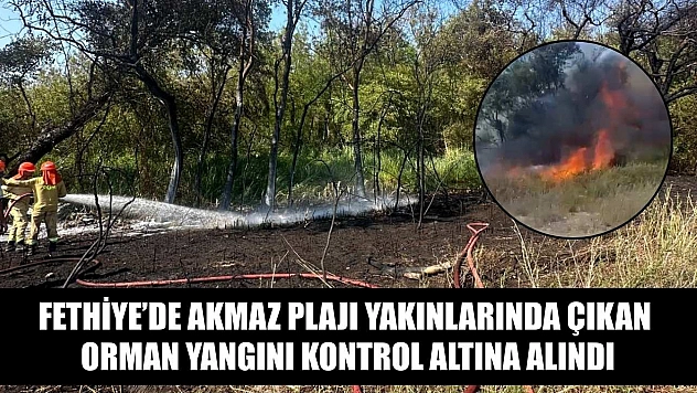 Fethiye'de Akmaz Plajı Yakınlarında Çıkan Orman Yangını Kontrol Altına Alındı