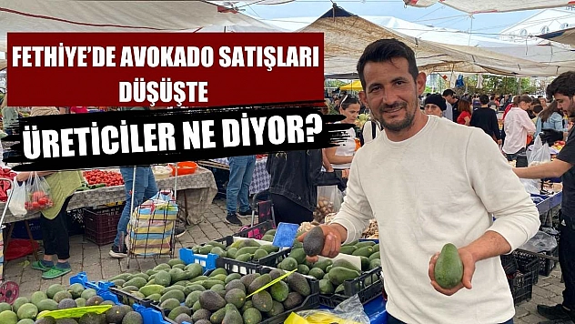Fethiye'de avokado satışları düşüşte: Üreticiler ne diyor?