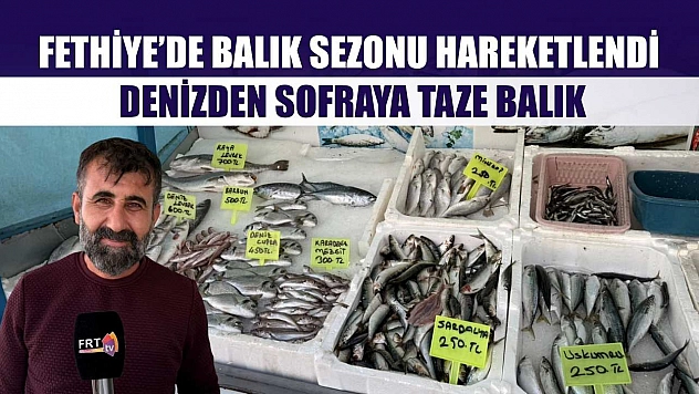 Fethiye'de balık sezonu hareketlendi: Denizden sofraya taze balık