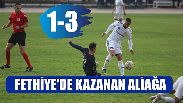 Fethiye'de Kazanan Aliağa: 1-3