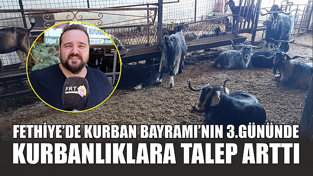 Fethiye'de Kurban Bayramı'nın 3.Gününde Kurbanlıklara Talep Arttı