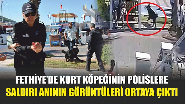 Fethiye'de kurt köpeğinin polislere saldırı anının görüntüleri ortaya çıktı
