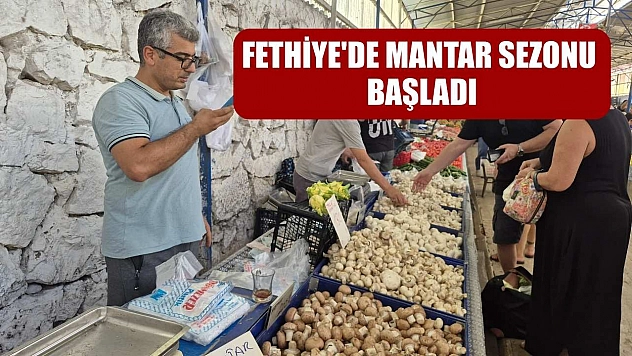 Fethiye'de Mantar Sezonu Başladı