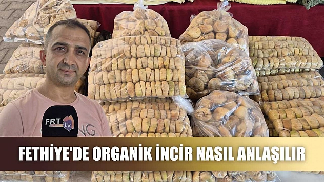 Fethiye'de Organik İncir Nasıl Anlaşılır
