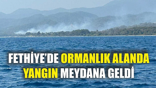 Fethiye'de Ormanlık Alanda Yangın Meydana Geldi
