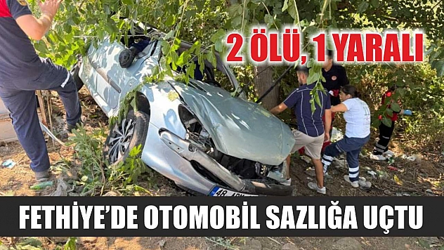 Fethiye'de otomobil sazlığa uçtu: 2 ölü, 1 yaralı