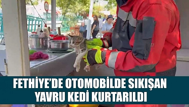 Fethiye'de otomobilde sıkışan yavru kedi kurtarıldı