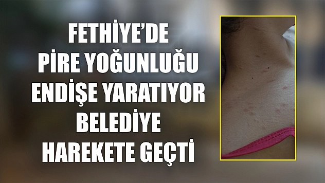 Fethiye'de Pire Yoğunluğu Endişe Yaratıyor Belediye Harekete Geçti