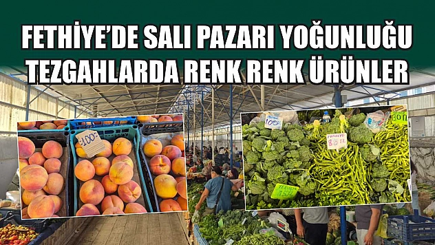 Fethiye'de Salı Pazarı Yoğunluğu: Tezgahlarda Renk Renk Ürünler