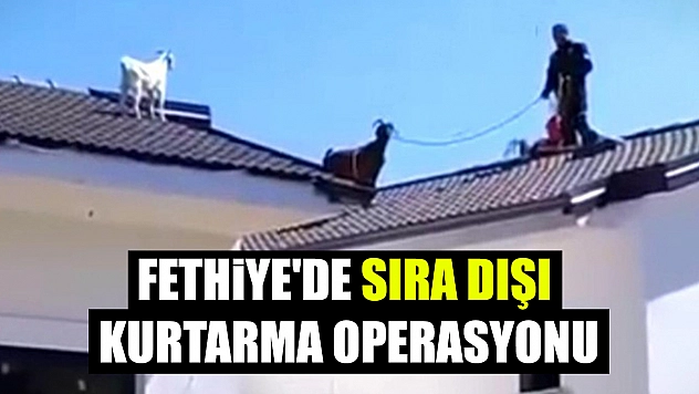 Fethiye'de sıra dışı kurtarma operasyonu