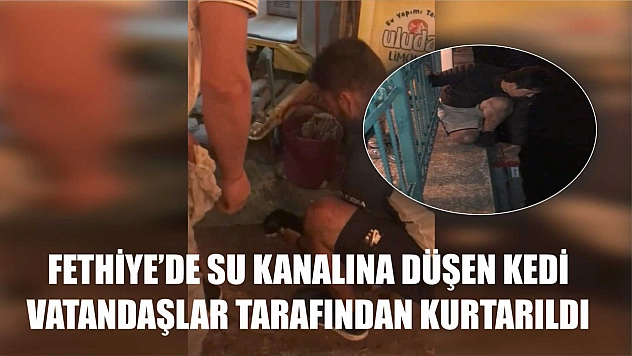 Fethiye'de Su Kanalına Düşen Kedinin Zorlu Anlarına Esnaf Yardım Etti