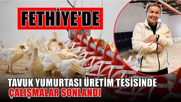 Fethiye'de Tavuk yumurtası üretim tesisinde çalışmalar sonlandı