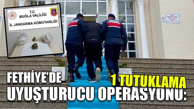 Fethiye'de uyuşturucu operasyonu: 1 tutuklama