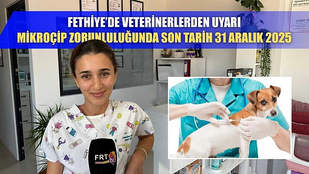 Fethiye'de veterinerlerden uyarı: Mikroçip zorunluluğunda son tarih 31 Aralık 2025