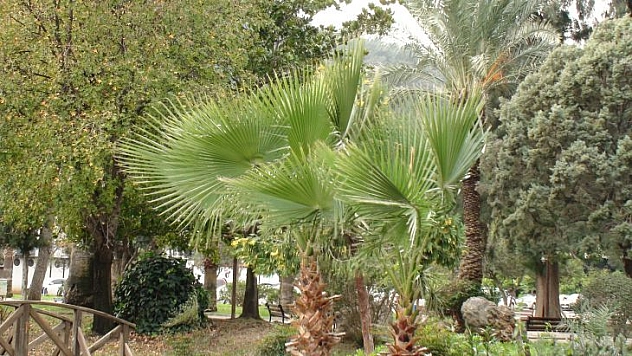 FETHİYE GÜNE FIRTINA İLE UYANDI