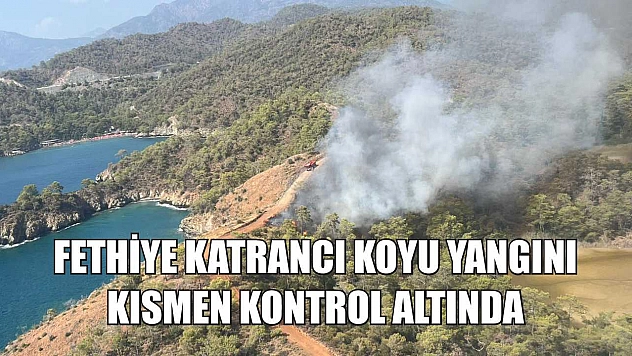 Fethiye Katrancı koyu yangını kısmen kontrol altında