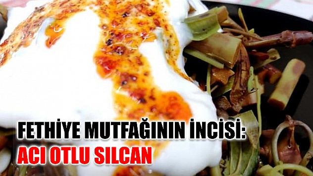Fethiye mutfağının incisi: Acı Otlu Sılcan