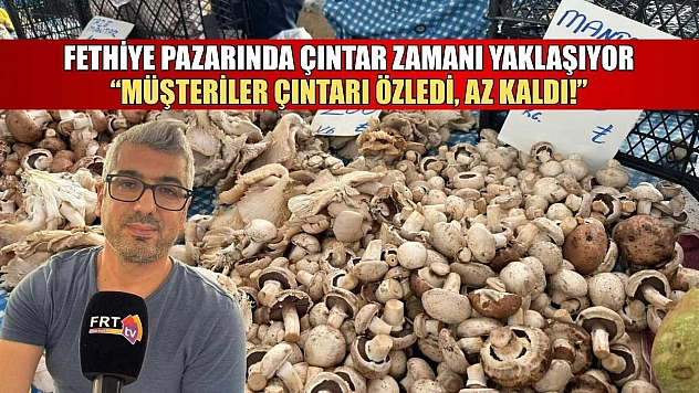 Fethiye pazarında çıntar zamanı yaklaşıyor: 'Müşteriler çıntarı özledi, az kaldı!'