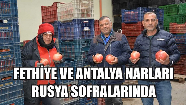 Fethiye ve Antalya Narları Rusya Sofralarında
