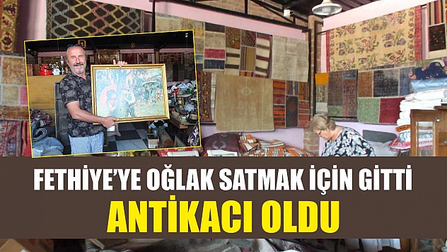 Fethiye'ye oğlak satmak için gitti antikacı oldu