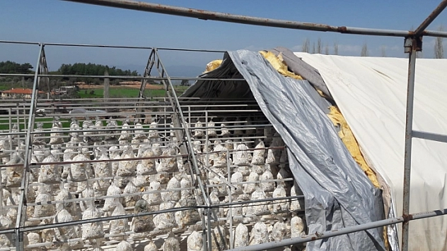 Fırtına Yıktı Geçti