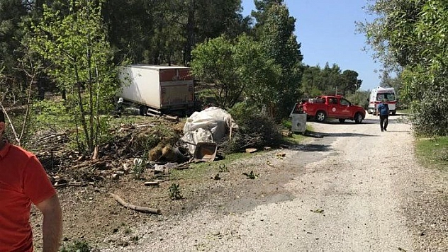 Freni boşalan kamyon ormana daldı