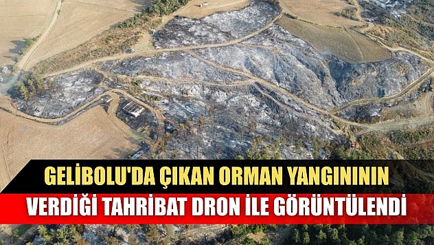 Gelibolu'da çıkan orman yangınının verdiği tahribat dron ile görüntülendi
