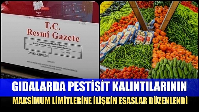 Gıdalarda pestisit kalıntılarının maksimum limitlerine ilişkin esaslar düzenlendi